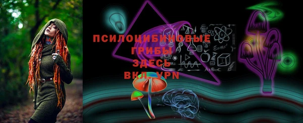 дживик Коряжма