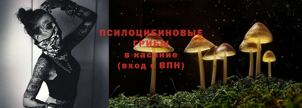 apvp Корсаков