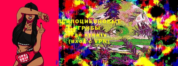 соль ск Кодинск