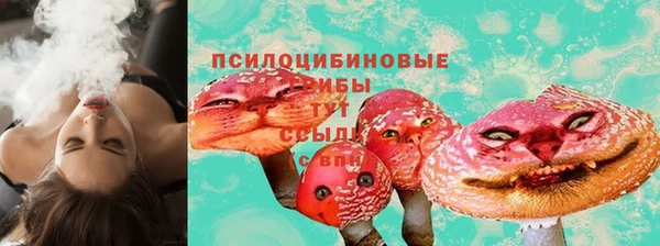 дживик Коряжма