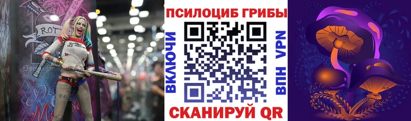 mega как зайти  Называевск  Галлюциногенные грибы Psilocybine cubensis  магазин  наркотиков 