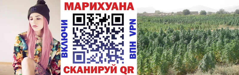 Канабис ГИДРОПОН  mega ссылки  площадка официальный сайт  Называевск 